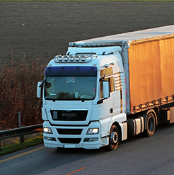 Logistics services from Plum Group Foods